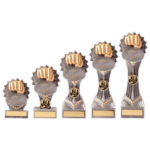 Falcon martial arts trophy - free engraving - multiple sizes available