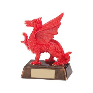 Trophy superstore celtic dragon rugby trophy - free engraving - size 135mm