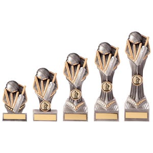 Trophy superstore falcon cricket trophy - free engraving - multiple sizes available