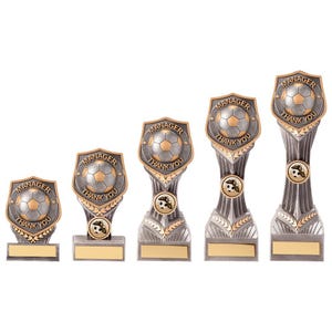 Trophy superstore falcon manager thank you football trophy - multiple sizes available - free engraving