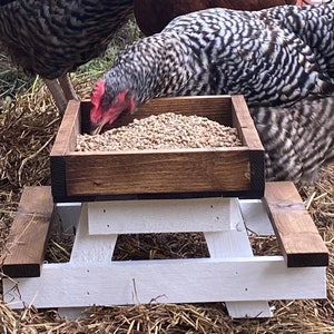 Chicknic Table/Bird Feeder/ Squirrel Feeder