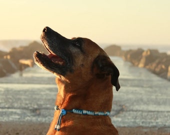 Collier Erza , Anti-tiques naturel pour chien, avec perle en céramique EM