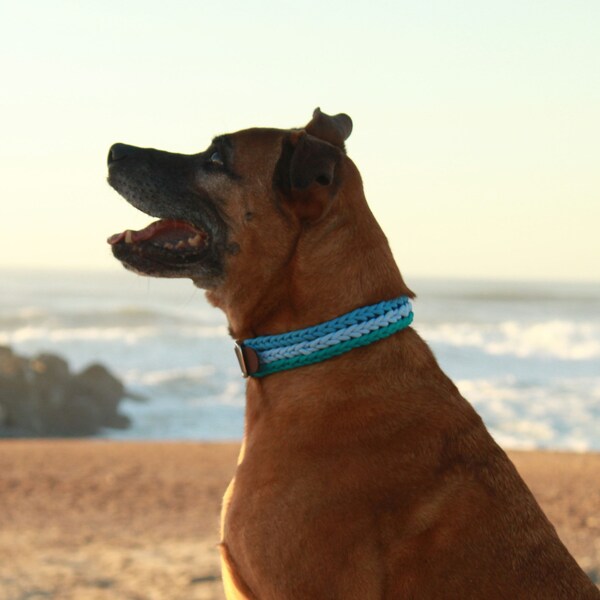 Collier Hermès, en paracorde et biothane pour chien. Collier fait main , réglable .