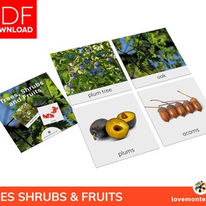 ARBRES ARBUSTES ET FRUITS • 22 Cartes Montessori • Cartes Imprimables Pdf préscolaire • Cartes Flash Nomenclature