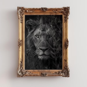 Black and White Animal Wall Art, Animal Digital Wall Art, Animal Portrait Poster, Trendy Lion Wall Decor, Nature Photography Print, Lion Art