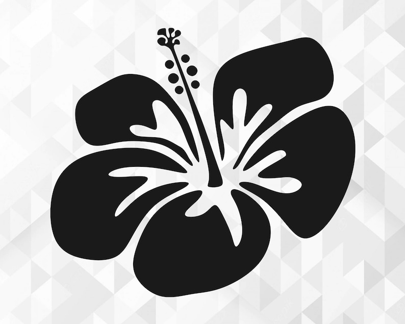 Blumen-SVG-Bundle, Blumen-Svg, Frühling, Blumen-Designs für Hemden, Blumen-Bundle-Svg, Blumen-Schnittdateien, Cricut, Png, Svg Bild 4