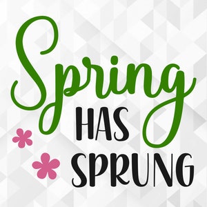 Spring a sprung SVG, Spring svg, Hello Spring svg, Spring a sprung Cut Files, Cricut, png, svg