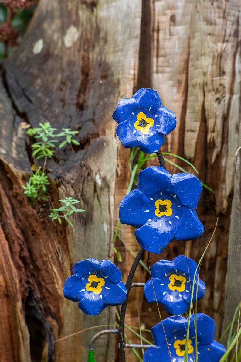 K&ouml;nnte beinhalten: Eine Metallskulptur einer Blume mit blauen Bl&uuml;tenbl&auml;ttern und gelben Zentren. Die Skulptur ist so gestaltet, dass sie wie eine Vergissmeinnicht-Blume aussieht.