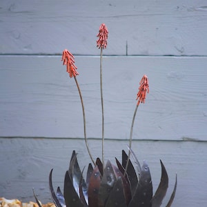 Recycled Metal Aloe Sculpture
