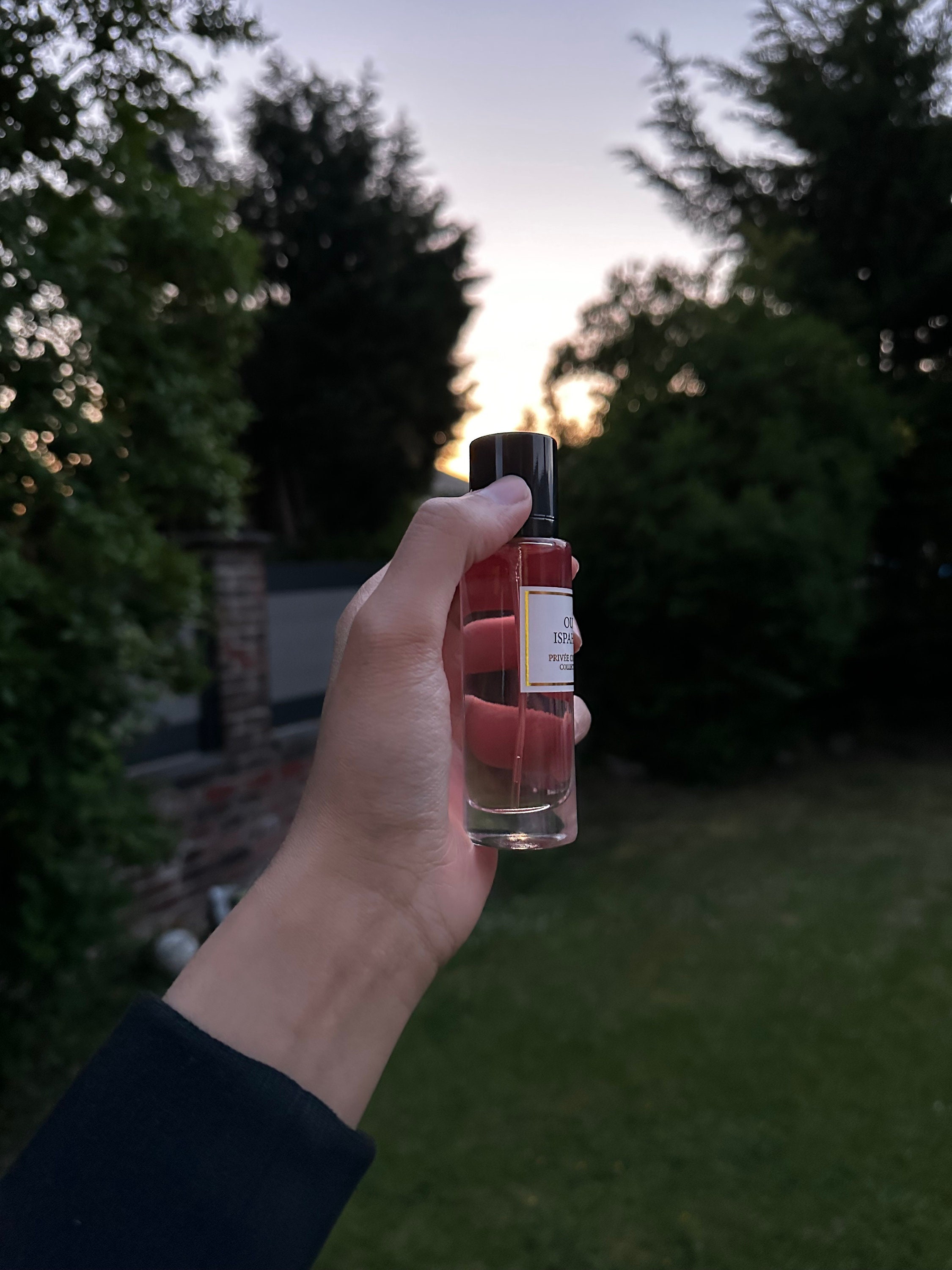 Oud Ispahan by Privee Couture Collection Etsy UK