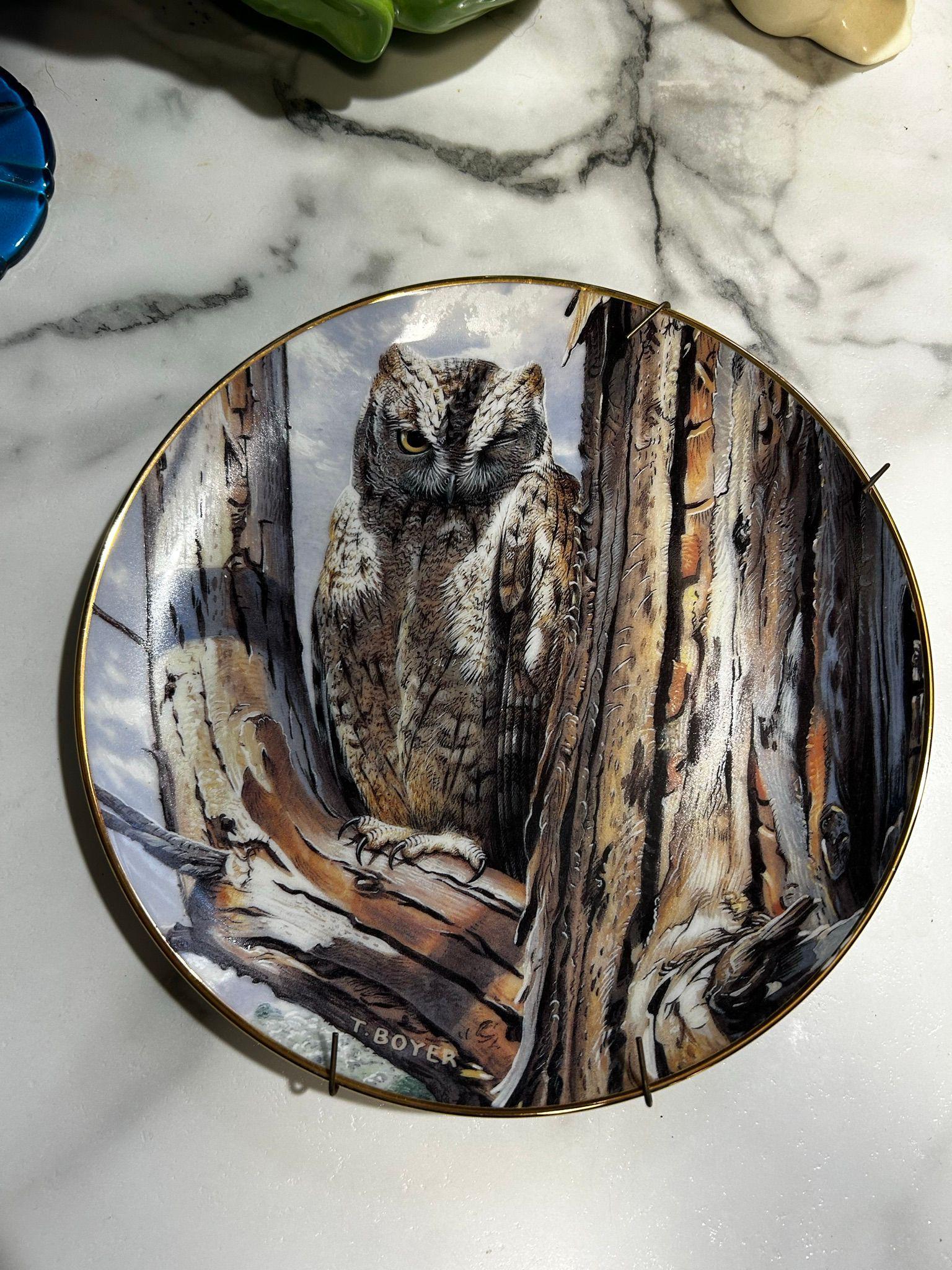 Vintage 1992 Collectors Pefect Disguise Scops Owl Plate