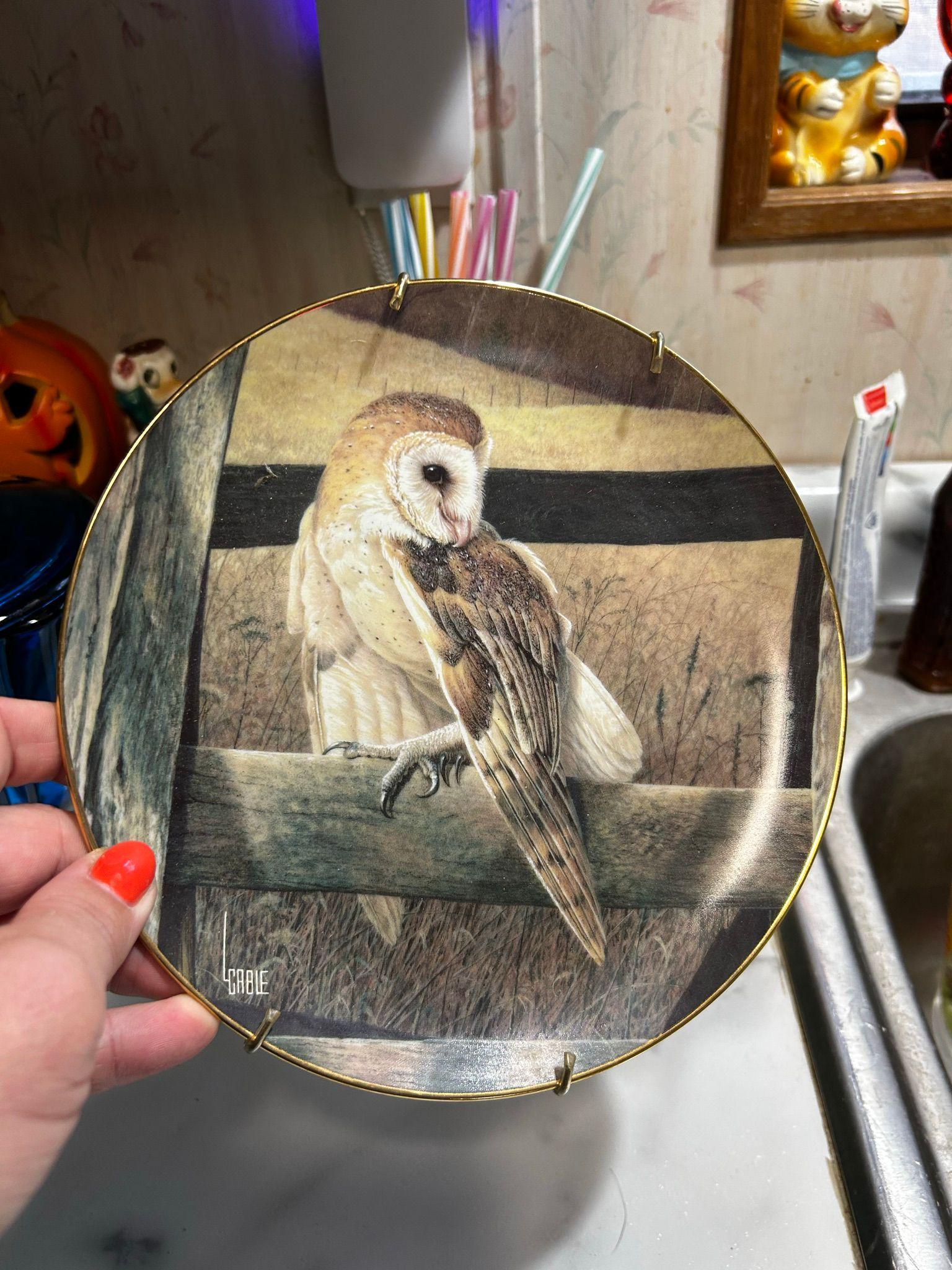 Vintage 1994 Barn Owl Solitary Sentinel Lee Cable Collector Plate