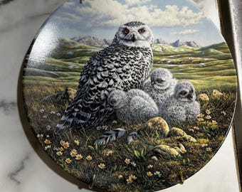 Knowles Collectors Plate the Great Horned Owl by Artist Jim