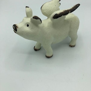 Flying Pig