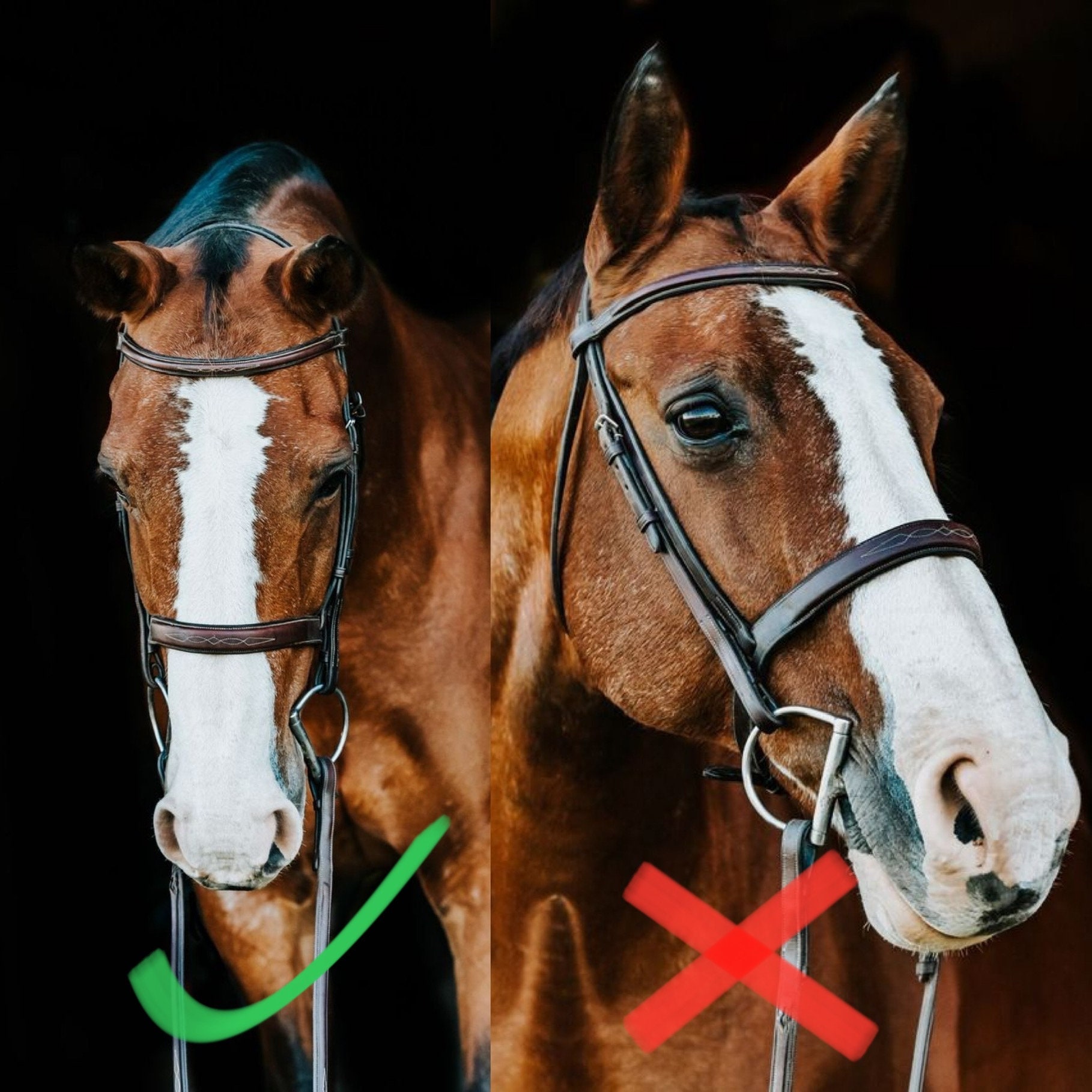 Nawypu Horse Blanket Horse Gifts For Girls Boys Women Throw With Horses