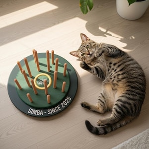 May include: A cat toy with a green and black circular base, featuring wooden pegs and a yellow ring. The text "SIMBA - SINCE 2025" is printed on the base. A tabby cat is lying on the floor next to the toy.