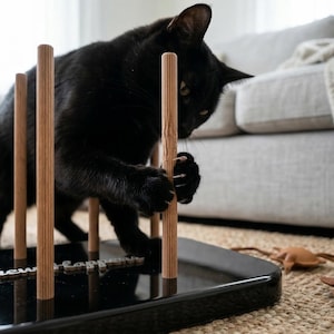 Naturlig aktivitetsbräda för katter, bit- och tuggleksak för katter