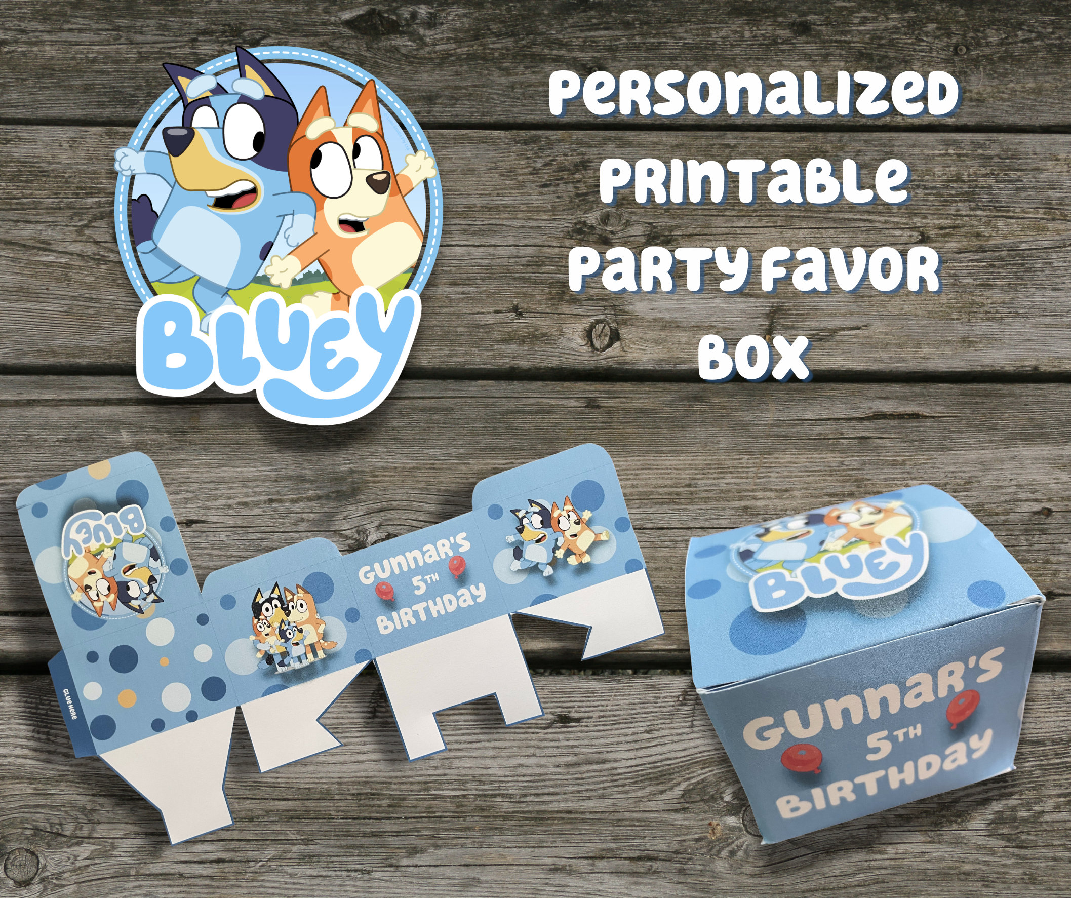 Bluey 1st Birthday - DIY Party Central