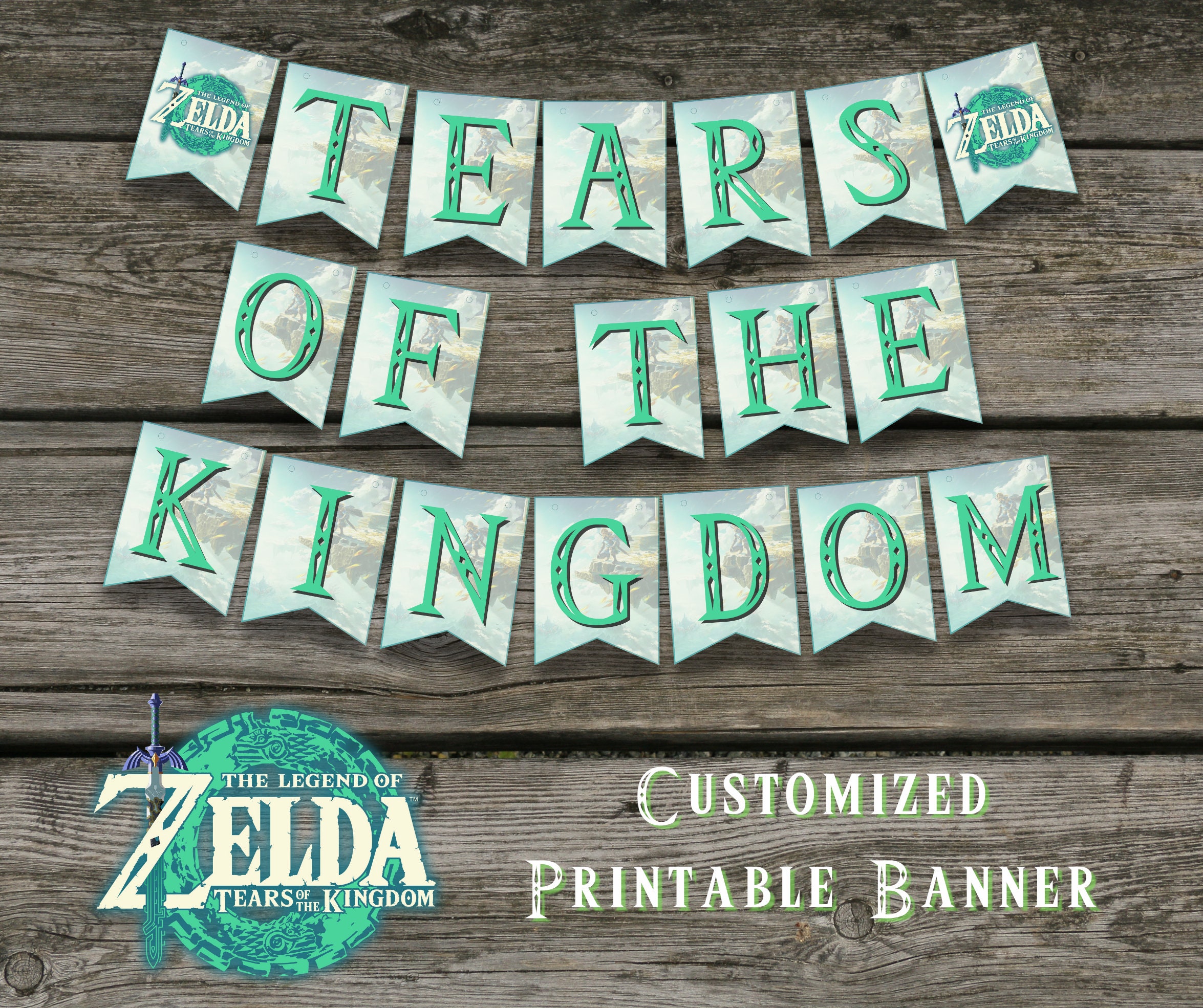 Birthday Party Banner and Hanging Swirls for Zelda,For Zelda Birthday Theme Party Decoration Supplies