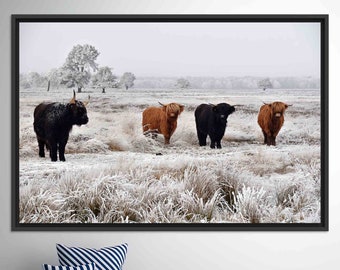Highland Cow, Framed Wall Art, Cow Photo Print, Personalized Gift, Valentines Day Gift For Him, Farmhouse Wall Decor, Living Room Wall Art,