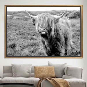 Highland Cow Canvas Art: Scottish Cattle Wall Decor