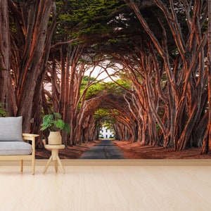 3D Custom Wallpaper, Accent Wall, Stylish 3D Wallpaper, Gift For Him, California Cypress Tree Tunnel Digital Paper, 3D Landscape Wallpaper,
