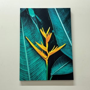 Floral Canvas Decor, Tropical Flower Art Canvas, Framed Wall Art, Printable Wall Art, Wall Hangings, Tropical Flower Wall Art, Canvas Decor,