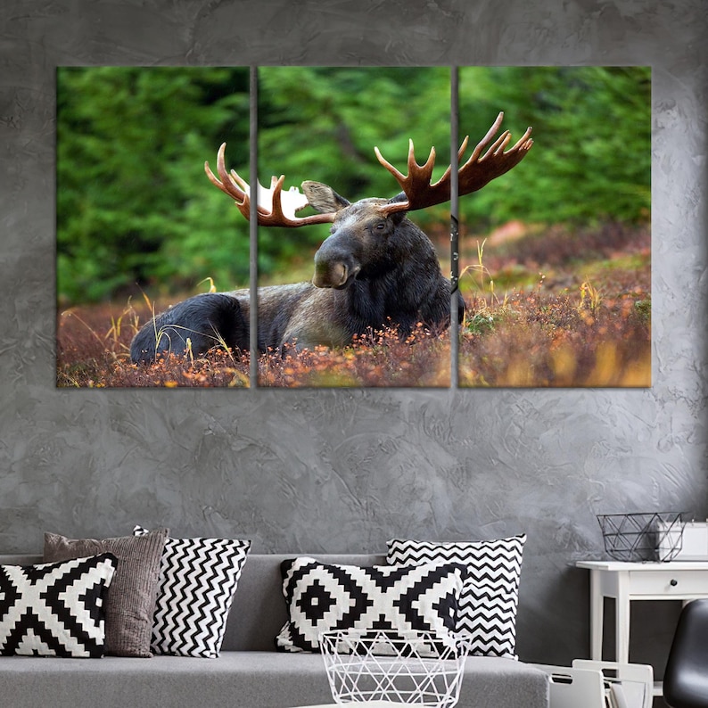 Curated visual reference: Picture Idea: Rustic Moose Canvas Wall Art Cabin Lodge Or Hunting Room