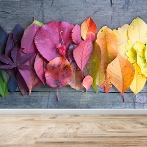 Wallpaper Mural Art, Wall Decoration, 3D Wall Decor, Gift For Him, Autumn Colorful Leaves Wall Print, Colorful Leaf Wall Mural,