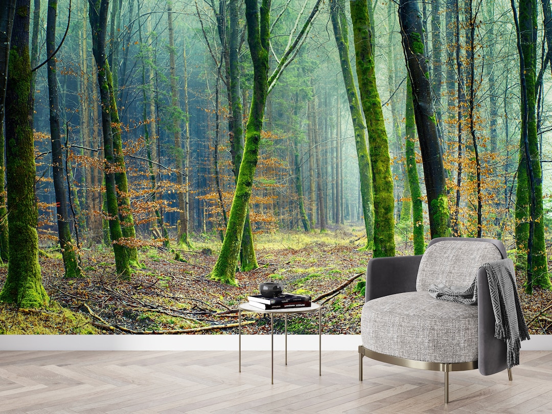 Forest Landscape Wallpaper Mural: Peel and Stick Wall Decor - Etsy