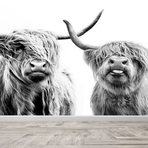 Highland Cow Wallpaper Mural: Farmhouse Wall Decor, Peel and Stick