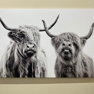 Gift for Him, Personalized Gift, Room Decor, Highland Cow, Farmhouse Wall Decor, Two Cows, Black White, Highland Scottish, Framed Canvas,