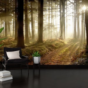 Paper Crafts, Paper Anniversary, Wallpaper By The Yard, Gift Wallpaper, Forest Path At Sunset Wall Paper, Forest Landscape Wall Mural,