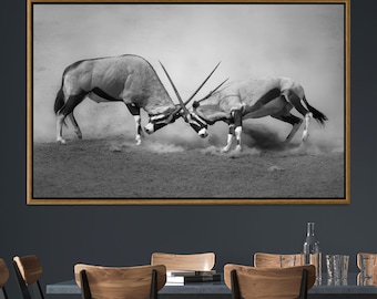 Oryx Antelope Fight Canvas Print: Monochrome African Wildlife Art