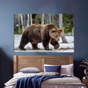 May include: A large canvas print of a brown bear walking through a snowy forest. The bear is the focal point, with its fur appearing thick and textured. The background features bare trees and a hint of green foliage.