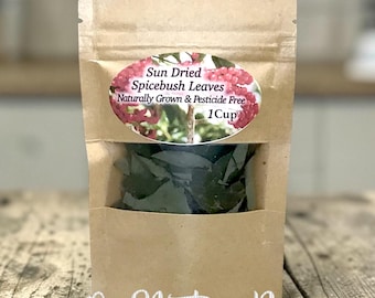 Hojas jóvenes de arbusto de especias secadas al sol: hierba culinaria para té, jabones, tinturas y manualidades.