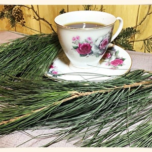 White Pine Needle Loose Leaf Tea~Oils~1/4 Lb Bundle~Organic Freshly Harvested PA