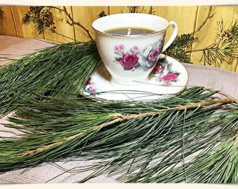 White Pine Needle Loose Leaf Tea~Oils~1/4 Lb Bundle~Organic Freshly Harvested PA