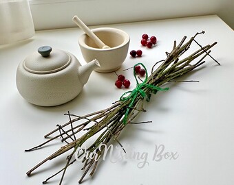 Ramitas jóvenes de arbusto de especias, brotes nuevos ~ Infusiones, fragancias, manualidades, decoración y más