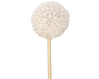 Coco Cake-Pops