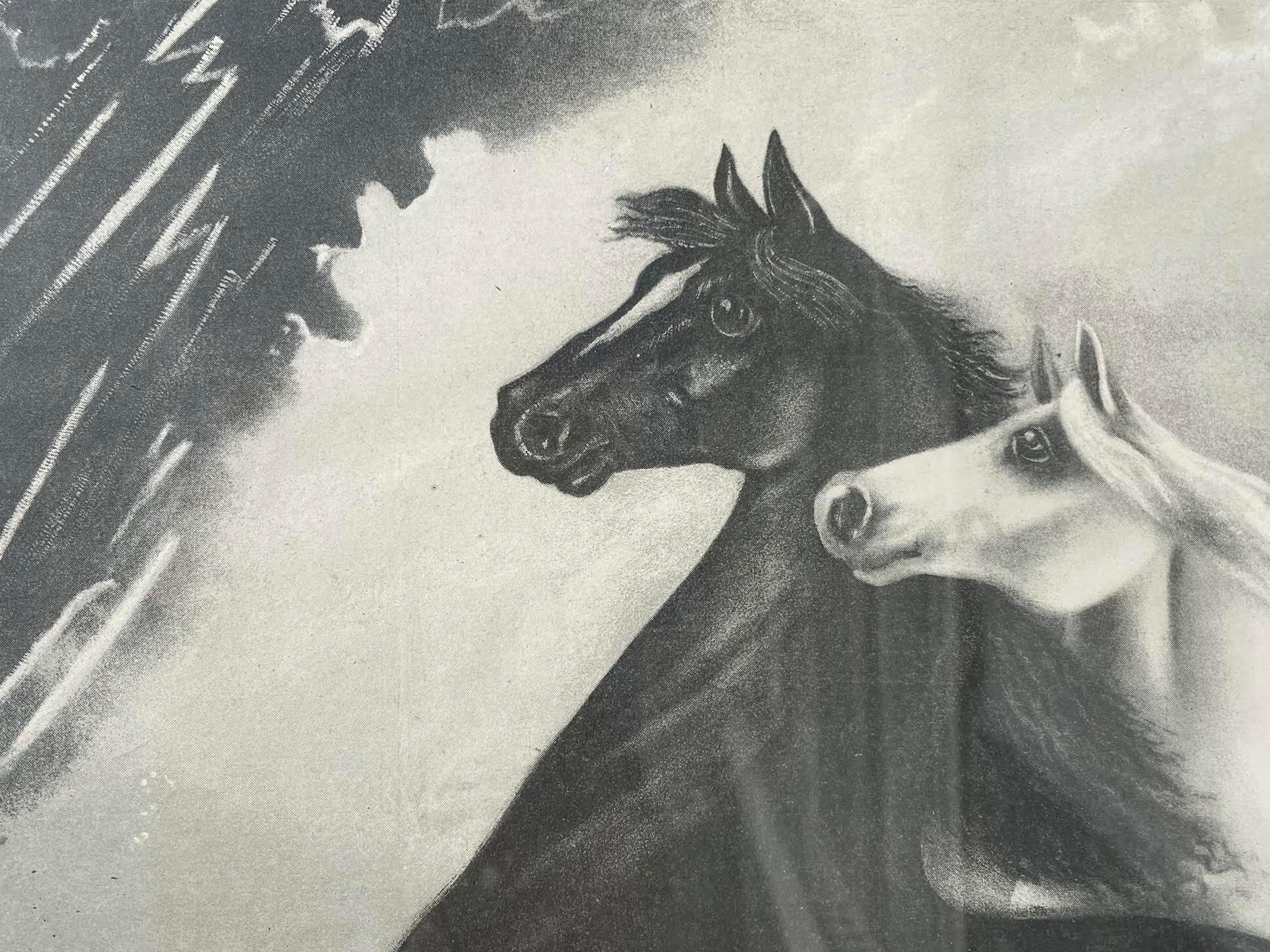 Rare Early 20th Century Print Spirited Horses by Leroy 1904 the