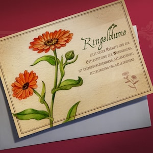 Grußkarte Kräuter Ringelblume