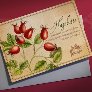 Carte de vœux Herbes Rose Musquée