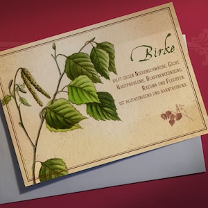 Wenskaart Herb Birch