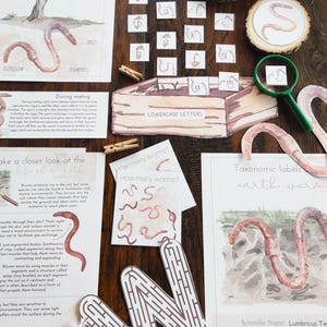 May include: Educational materials for earthworm study. Includes illustrated cards, wooden discs with drawings, a wooden box with lowercase letters, and a maze. The theme is earthworm anatomy and life cycle.