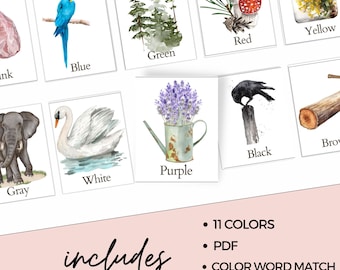 Nature Color Flash Cards