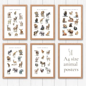 Printable Animal Educational Posters, Montessori Animal Posters, Homeschool Decor, Homeschool Resources, Playroom Learning Prints, Kids Room