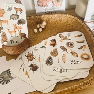 Op de natuur geïnspireerde cijfers Flashcards 1-10 Wiskunde Flashcards Thuisonderwijs Nummerherkenning Montessori Reggio Natuurgebaseerd leren