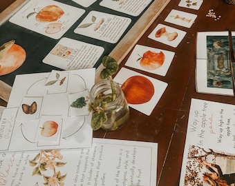 Studio dell'unità di Apple Homeschool Morning Basket Unità di scienze autunnali per l'istruzione della prima infanzia Studio a casa Charlotte Mason Studio della natura