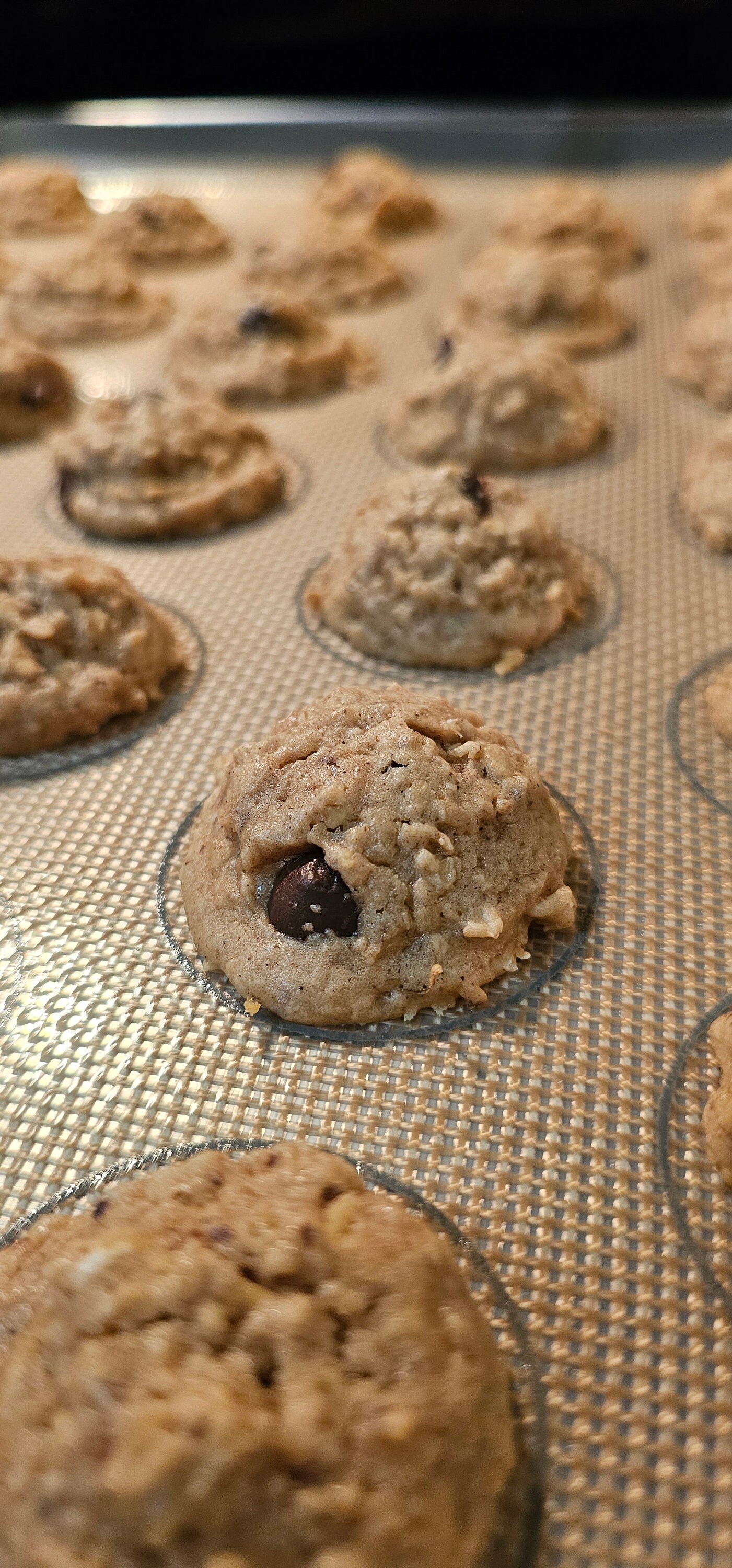 LACTATION COOKIE BITES 30 Dairyfree Breastfeeding Cookie Bites